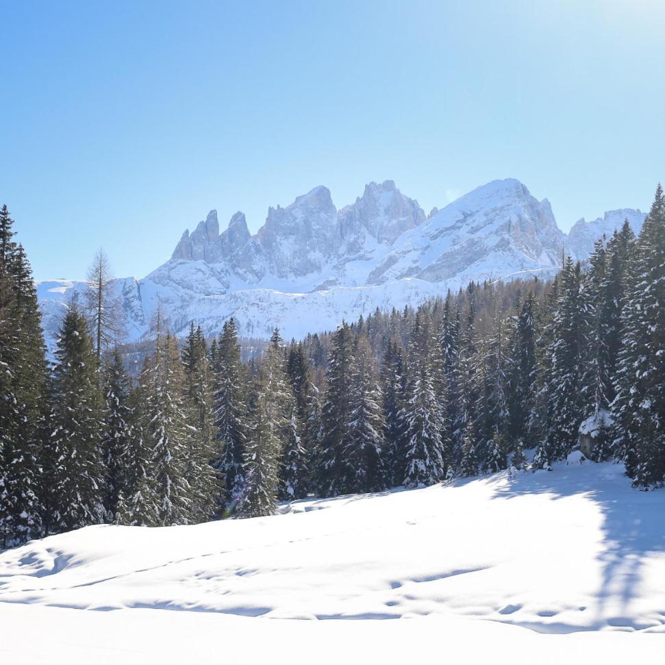 Rifugio Flora Alpina Passo San Pellegrino Exterior foto